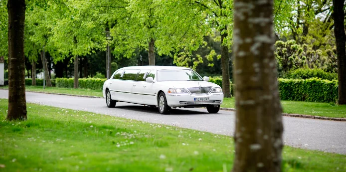 Cani coreani e limousine, i regali tra Putin e Kim